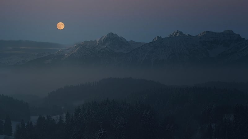 Moonlight Castle